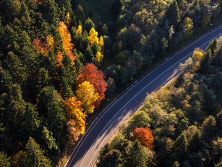 Aerial view of a road with autumn leaves changing