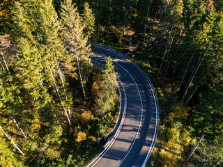 Aerial view of a road with autumn leaves changing