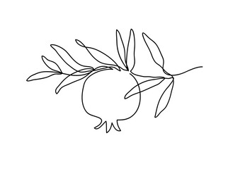 Branch with pomegranate. Modern single line art drawing. Continuous line drawing. Outline draw design vector illustration