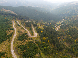 Aerial view of a winding road through vibrant autumn foliage, showcasing the beauty of seasonal change in nature. 