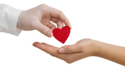 Sharing of Compassion: A symbolic representation of empathy and care, a hand tenderly offers a bright red heart to another, embodying generosity. The scene is an invitation to reflect on giving.