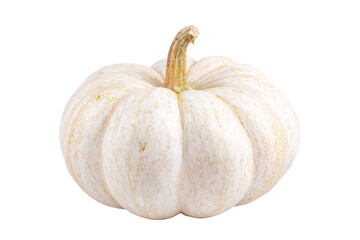 Single White Pumpkin with Stem, Isolated on White Transparent Background