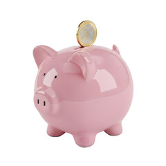 Pink Piggy Bank With Coin