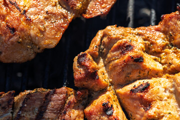 Pork chops, steak, sausages on barbecue grill