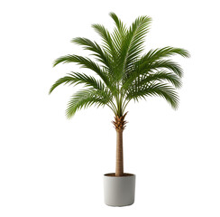 Obraz premium Artificial palm tree in pot, studio shot, black background, home decor (1)