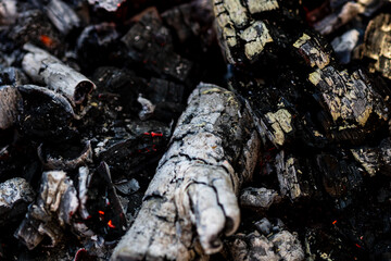 Burning wood and fire flames. Empty hot charcoal barbecue grill with bright flame