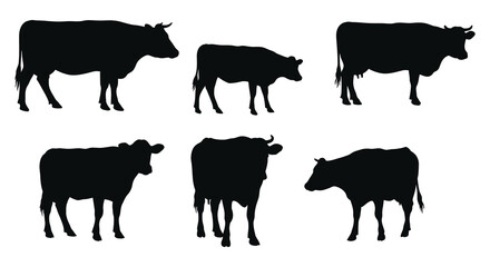 Silhouettes of six cows in various poses against a white background