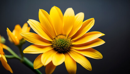 Bright Yellow Botanical Blossom