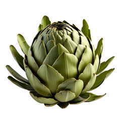 Obraz premium Fresh artichoke, studio shot, green, vegetable, food, healthy, cooking, isolated, background black, recipe