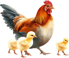 Watercolor vector illustration a hen with chickens.