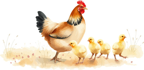 Fototapeta premium Watercolor vector illustration a hen with chickens.