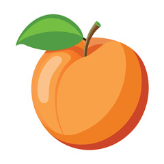 Illustration of a fresh peach fruit with green leaf and stem for healthy eating and design use