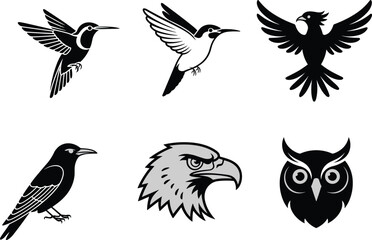 Fototapeta premium Stylized bird illustrations, hummingbird, eagle, owl, crow, silhouette, vector set, artistic birds, wildlife clipart, fierce expressions, nature theme