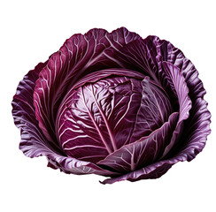 Obraz premium Studio shot red cabbage, dark background, food photography, recipe ingredient