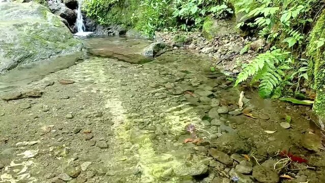 video of the Ungaran mountain spring which flows very clearly