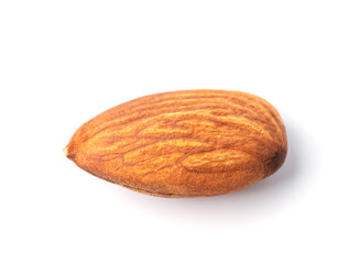 One Almond isolated on white background.