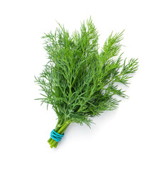 Fresh raw dill bunch isolated on white background.