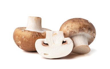 Fresh champignon mushrooms isolated on white background.