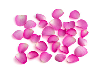 rose petals border on white background