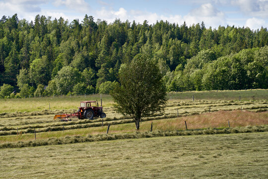  "Harvesting Hay in Rural Sweden: Tractor Working in the Countryside Near H&aring;verud"