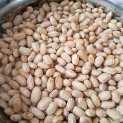 Bowl of   beans