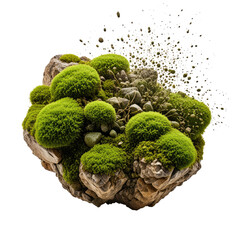 Moss, rocks, exploding, nature, garden, isolated, background, design