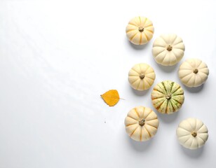 Mini pumpkins arranged on white background