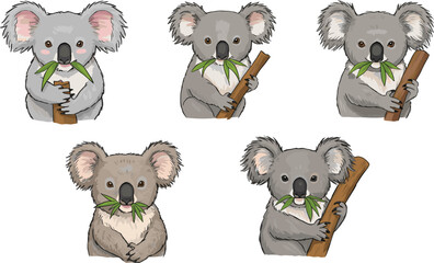 Cartoon koala illustration, cute animal pose, eucalyptus leaf chewing, playful koala characters, gray and beige fur, nature theme, vector drawing, character design