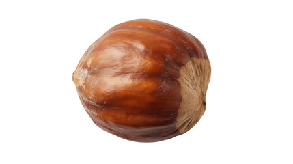 Single hazelnut isolated on transparent background, top view studio shot.
