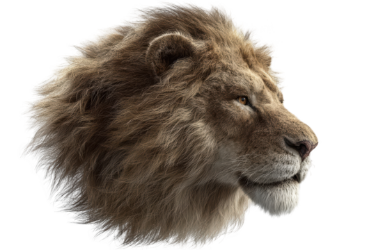 Realistic lion head with detailed fur and intense gaze
