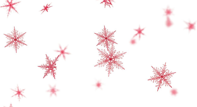 Delicate red snowflakes falling gently isolated on transparent background, creating a wintery scene