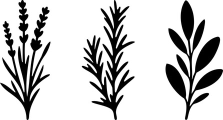 Minimalist black and white branch design element for digital art projects