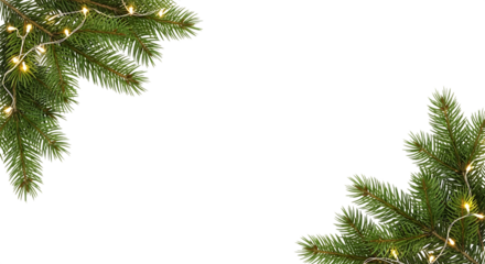 Christmas tree branch with fairy light isolated on transparent background for decoration