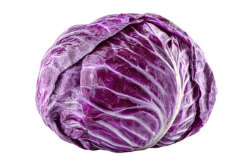 Fresh Red Cabbage Vegetable Isolated on White Background