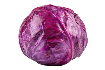 Obraz premium Fresh Red Cabbage Vegetable Isolated on White Background