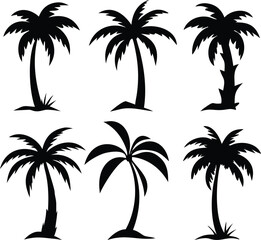 Black Silhouette Illustration of Various Tropical Palm Trees with Different Shapes
