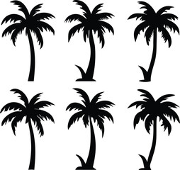 Silhouette of Palm Trees Tropical Exotic Flora Summer Beach Vacation Vibes