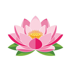 Obraz premium Beautiful Pink Lotus Flower Blossom Isolated on White Background.