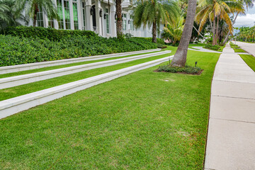 Minimalist landscaping with clean lawn edges. A modern example of curbside garden design.
