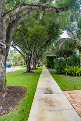 modern landscape design in a tropical style. Green lines meet a white stone pavement.