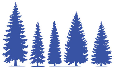 Obraz premium A Row of Blue Pine Tree Silhouettes of Varying Heights