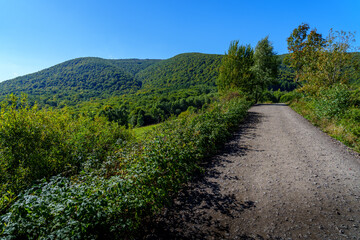 Mountain Trail in Summer Scenery