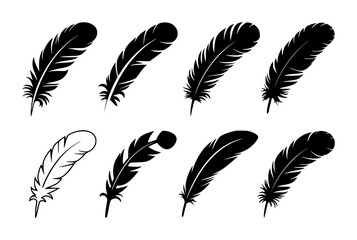 Collection of Black and White Feather Silhouettes on a White Background