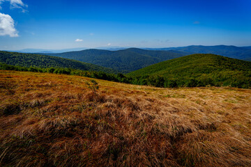 Rolling mountain ridges with golden grass fields under a blue summer sky