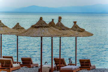 Tranquil Ohrid Lake Shore with Straw Umbrellas, Wooden Sun Loungers, a Playful Cat, and a Graceful Swan at Sunset