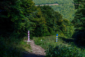Sunny border meadow with Poland and Ukraine posts beneath blue sky