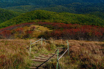 Mountain trail with steps descending through autumn meadows and red shrubs