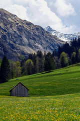 Blick von Weisstannen auf den Pizol in den Glarner Alpen, Kanton St. Gallen