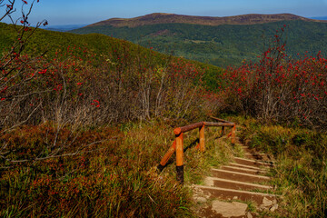 Wooden steps in autumn shrubs leading into panoramic green mountain ridges