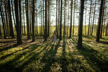 Middle aged calm woman walking in autumn pine forest, looks around, collecting wild fungi in wicker basket. Mushroom foraging. Loving nature purity. Active outdoor recreation